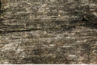 photo texture of wood bare